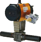 Firefly Steam Extinguishing SV/PS Valve